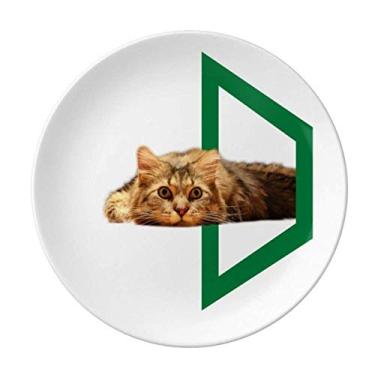 Imagem de Prato quadrilateral Cat Lie Sleep Pet Plate decorativo de porcelana Salver louças de jantar