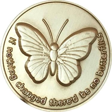 Imagem de RecoveryChip If Nothing Changed There Be No Butterflies Bronze Serenity Prayer Medalhão Borboleta Bolso Token