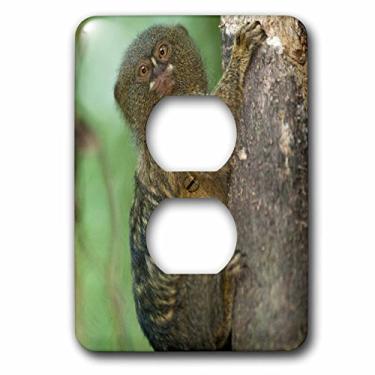Imagem de 3dRose LLC lsp_86403_6 Pygmy Marmoset, Napo River, Yasuni, Amazon, Equador Sa07 Pox2038 Pete Oxford 2 Plug Outlet Cover