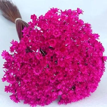 Imagem de 1000 Flores Sempre Vivas  COLORIDAS para casamentos e decoração - Viva
