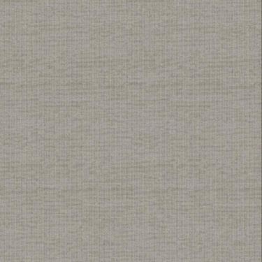 Imagem de Papel de Parede Essencial - Ess1020 textura Cinza - Rolo Fechado de 53