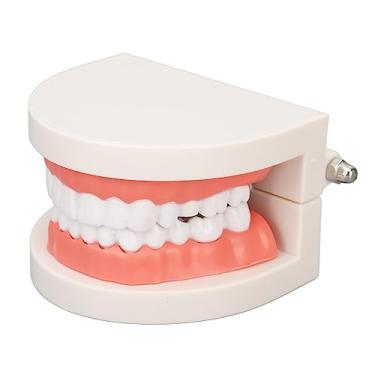 Imagem de Modelo de Dente de Doença, Simulação de Educação Modelo de Cárie Dentária Estrutura Clara para Estudante para Hospital Odontológico