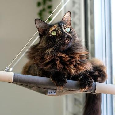 Imagem de Gatton Cama De Janela Para Gatos Catbed King Volcano Prateleira Para Gatos