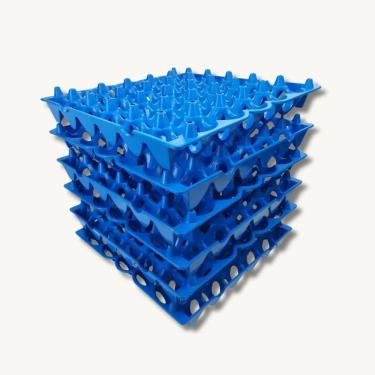 Imagem de 2X Bandeja Plástica Porta Ovo Cartela Higiênica 06 Unid.