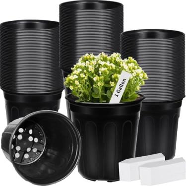 Imagem de BeapTcely 400 peças de vaso de plástico para berçário de plantas de 1 galão com etiquetas de plantas, vasos iniciais de sementes, vasos de plástico com orifício de drenagem para mudas, estacas