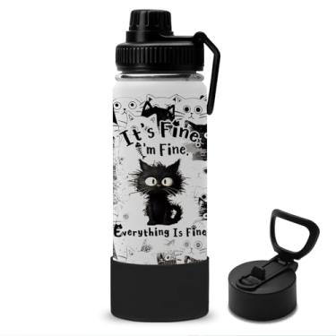 Imagem de Presentes para mulheres, garrafa de água fina para gatos de 500 ml com tampa de canudo e tampa de bico - Garrafas de água isoladas I'm Fine Black Cats, garrafa de água esportiva à prova de vazamento