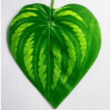 Imagem de Kit com 2 Vasos Arandela Pretos + 6 Cordões de Plantas Artificiais Pendentes | Decoração de Parede Moderna sem Manutenção(HERA)