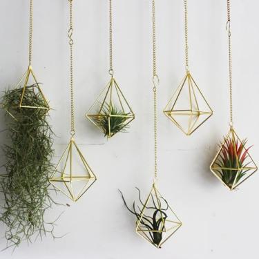 Imagem de ZOOELAY Air Plants Live Holders 6 Pcs Glod Diamond Hanging Plantter Small Air Plant Holders Exclusivo com Correntes Air Samambaias Tillandsia Display para interior