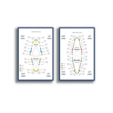 Imagem de Cartaz de carta dentária canina e felina medicina veterinária, impressão em tela clínica decoração de parede sala de estar escritório quarto 16 x 24 polegadas (40 x 60 cm) x2 peças estilo sem moldura