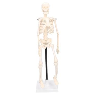 Imagem de Modelo de Esqueleto Humano para Ensino Médico para Pvc para Mini Animais de Modelo Em Miniatura de Esqueleto Humano de 42cm