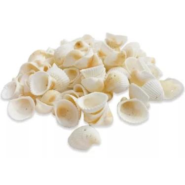 Imagem de Concha berbigão pequena com furo para colar ou pulseira - VINTTIUN