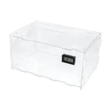 Imagem de Baoblaze Acrílico para aranhas saltadoras, terrário para répteis, gaiola para aranhas, caixa de alimentação, tanque transparente para répteis, lagartixas, L Size Single Grid