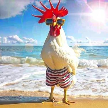 Imagem de MaiYiYi Cock Diamond Painting by Numbers 5D Full Round Diamond Painting Beach Chicken Diamond Painting Cross Stitch Kit Funny Chicken Diamond Painting Set for Adult Kids Wall Art Decor (30X30 CM)