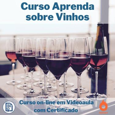 Imagem de Curso on-line em videoaula Aprenda sobre Vinhos com Certificado
