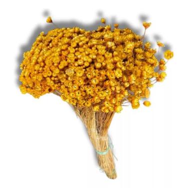 Imagem de Flor Sempre Viva 1.500un Colorido Decoração Lembrancinha - FLORA FULL,