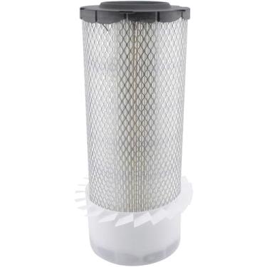 Imagem de Baldwin Elemento de ar externo de vedação radial RS5395-FN (com barbatanas)