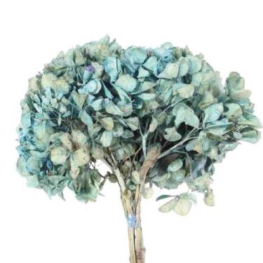 Imagem de Hortência Azul Claro Desidratado - Pense Flores
