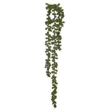 Imagem de Pendente Suculenta Sedum - 50cm 20034001f