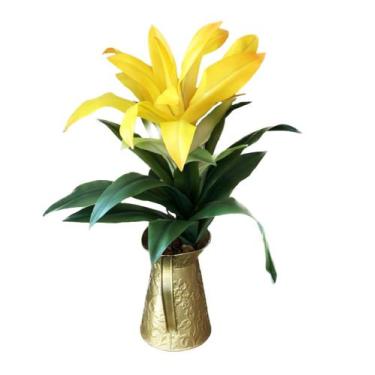 Imagem de Haste Bromélia Silicone Folhagem Raiz Arranjo Enfeite Flor / Arranjo /