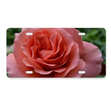 Imagem de DIYthinker Etiqueta de aço inoxidável para decoração de placa de licença rosa folhas verdes