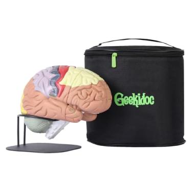 Imagem de Modelo de cérebro humano (numerado) com estojo de transporte 2x modelo de anatomia em tamanho real da Geekidoc