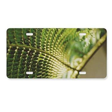 Imagem de DIYthinker Placa de licença com foto de folhas para fotografia de plantas, decoração de placa de carro em aço inoxidável