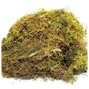 Imagem de 750g Musgo Verde Desidratadas Decoração Arranjos Flores - AC