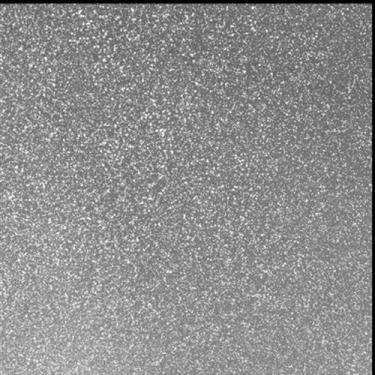 Imagem de Folhas de eva com glitter grande 40 x 60 kit com 30 folhas - Yins , Pr