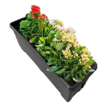Imagem de Kit com 6 Jardineiras 80cm de Plástico Resistente Ideal para Horta Jardim (Preto)