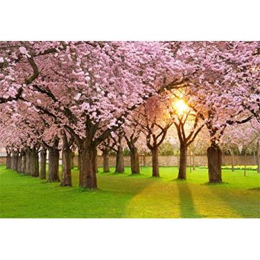 Imagem de Yeele Pano de fundo de flores de cerejeira de 3 x 2,4 m para fotografia Spring Park Sunshine Pink Flower Green Meadow Background Garden Romantic Nature Cenery Wedding Party Kids Adult Photo Booth Shoot Studio Adereços