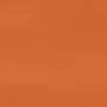 Imagem de Tinta PVA Fosca para Artesanato Acrilex 100 ml Terracota - 830