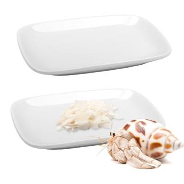 Imagem de 2 peças de prato de alimentação pequeno para répteis, tigela de alimentação de cerâmica para caranguejo eremita, caracol, críquete, inseto, invertebrado, isópode