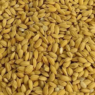 Imagem de Arroz Paxolinha - 2kg - Nutrifer