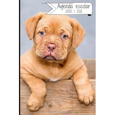 Imagem de AGENDA ESCOLAR 2020-2021: Agenda semana vista (Septiembre 2020 / Agosto 2021) | Planificador semanal (Español) | Calendario | Colegio, secundaria, estudiante | Tapa blanda Perrito