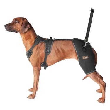 Imagem de CHAMIN Suporte de quadril para cães com design portátil nas costas, suporte para displasia do quadril, artrite, coxeamento nas costas, reduz a dor no quadril e recuperação acelerada após cirurgia, etc