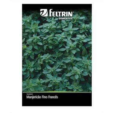 Imagem de Semente Manjericão Frances p/ Horta Orgânica Casa ou Apto Feltrin - 10
