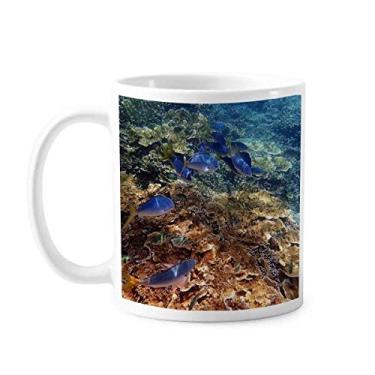 Imagem de Oceano colorido peixe ciência imagem natureza caneca cerâmica café porcelana xícara louça