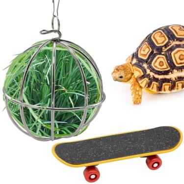 Imagem de Conjunto de skate de tartaruga e mini tartaruga, brinquedo de skate de treinamento e bola de petisco de tartaruga bola de alimentação pendurada bola alimentadora de tartaruga acessórios de tanque de