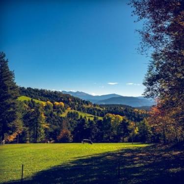 Imagem de Quadro Decorativo Paisagem Natural com Árvores e Céu Azul - Arte Moderna para Decorar sua Casa Tamanho 50x50cm