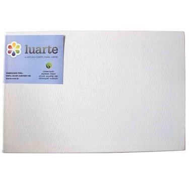 Imagem de Tela Painel Para Pintura Algodao Luarte 20X30Cm