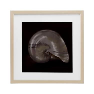 Imagem de Stupell Industries Impressão emoldurada Seashell Treasure of Sea Birch Under Glass, design de Mary Sparrow, 13 x 13