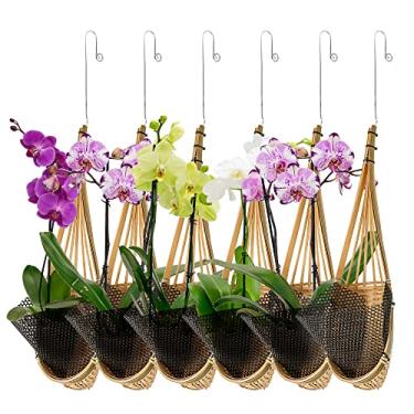 Imagem de Kitypartsy Plantador de orquídeas suspenso, pacote com 6 cestas de orquídeas tailandesas tecidas de bambu tailandês com gancho de metal, ganchos de plantas estilo ninho de pássaro para treliça e gazebo para ambientes internos e externos, plantador de flores pequenas