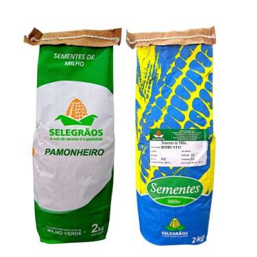 Imagem de Kit Sementes Milho Pamonheiro 2kg Robusto 2kg Selegrãos Ideal Para Lav