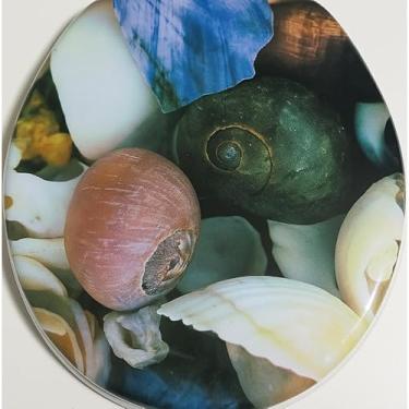 Imagem de Assento Sanitário Oval Almofadado Universal com Estampas - Tampa de Vaso Higiênico Ajustável para Banheiro Resistente e Confortável (Conchas)