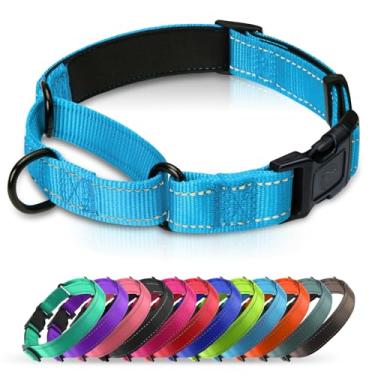 Imagem de Erbine Coleira Martingale acolchoada para cães | Coleiras de neoprene Martingale | Coleira refletiva de nylon Martingale | Martingale ajustável para cães pequenos, médios e grandes