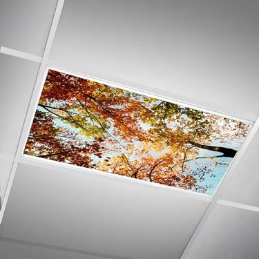 Imagem de SCWISOAS Capas de luz fluorescente para luzes de teto - Capa de nuvem magnética para luminárias fluorescentes ou LED 6 pés x 1,2 m para sala de aula, casa, escritório, filtros de iluminação aérea