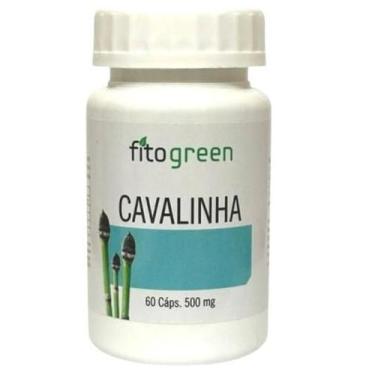 Imagem de Cavalinha Fitogreen  60 Cápsulas de 500 mg  Suplemento Alimentar