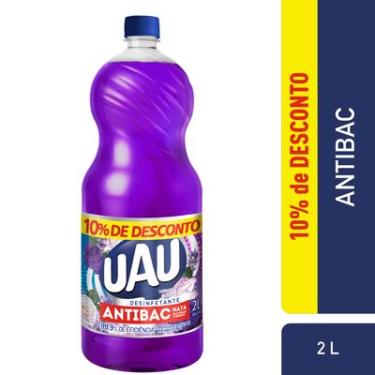 Imagem de DESINF UAU ANTIB LAV E ROSAS  PRM10 2L
