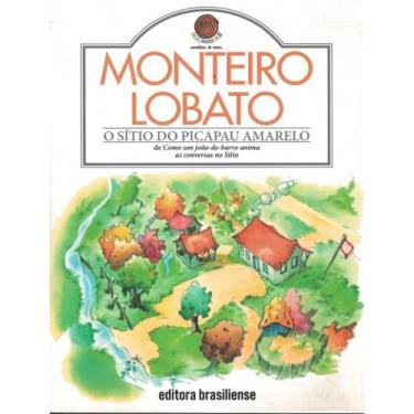 Imagem de Livro - Sitio Do Picapau Amarelo, O, 13, 21 x 28