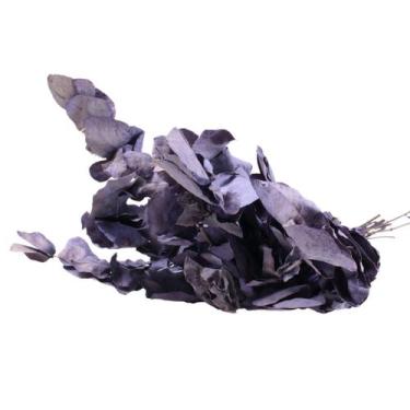 Imagem de Planta Seca Eucalipto Variado - Pense Flores, Roxo